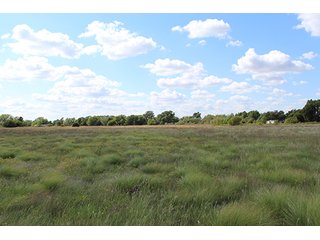 Tract 13 - OKLAHOMA CITY LAND AUCTION, 155+/- Acres offered in 15 tracts